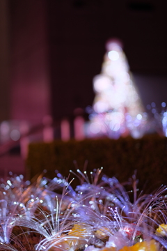 ちぃえろいイルミ３