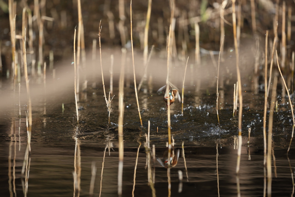 やっぱり、被った２