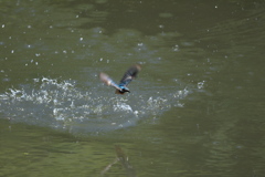 ワンショットでは・・・