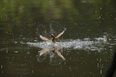 水カガミの、ダブルハート