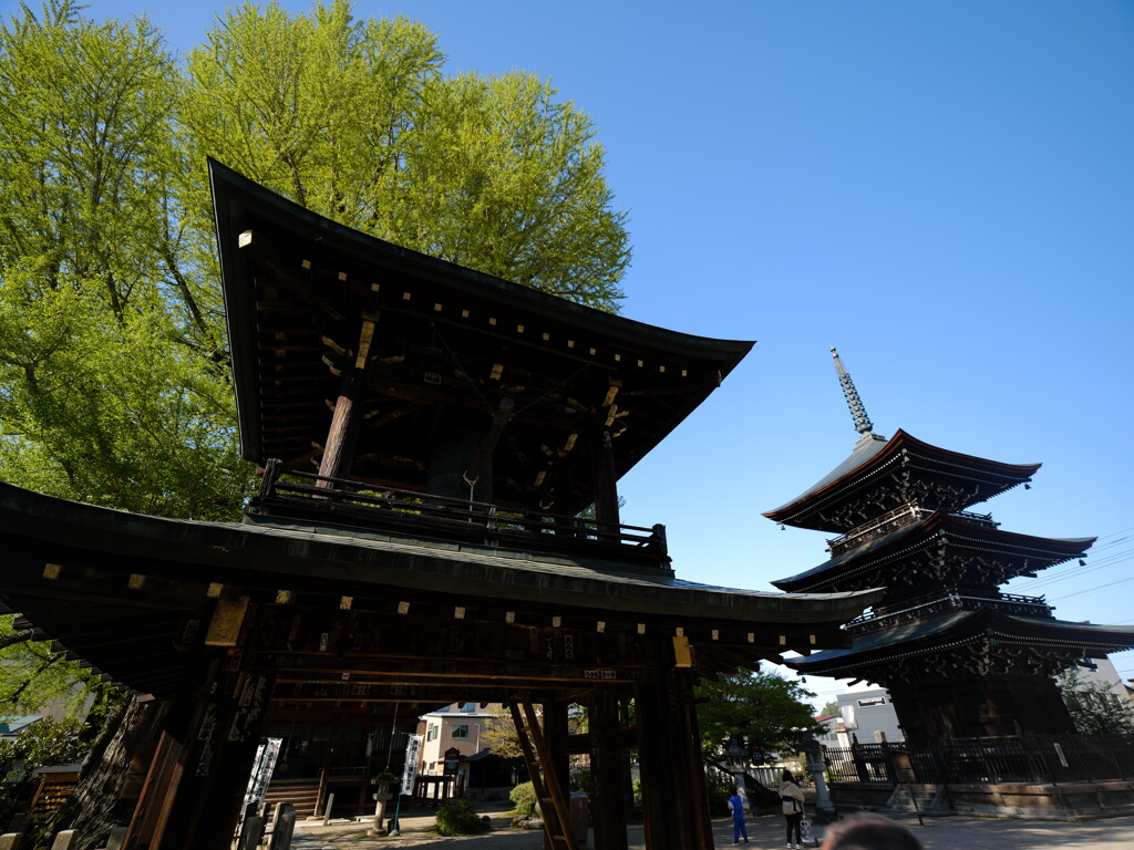 高山の国分寺