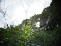 ぐるぐる遊び２