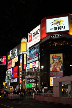 北の大地（夜）