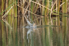 ヌルっと(遠い)