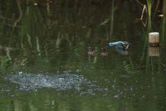 遠くに？？？ツブリン子５