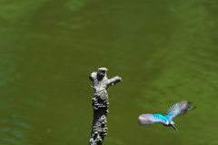 この距離なら６