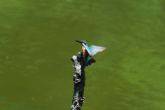 タッチダウン２