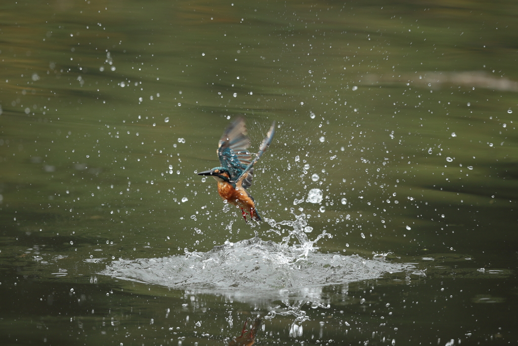 久しぶりの水がらみ２