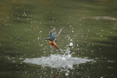 久しぶりの水がらみ2