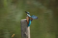 手持ち６連射⑥