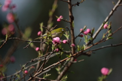 ３時間待ちに待ったのに・・・