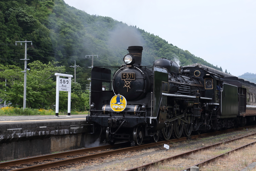 とりあえず鉄分補給