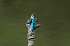 なかなか追えるよ2