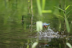 やっぱり被った１