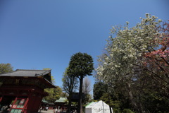 根津神社②