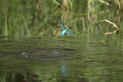 久々の１Ｄｍ２⓷