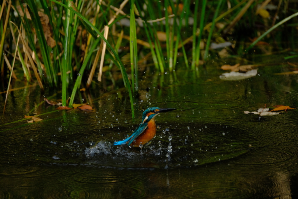 更新ファームウエアの成果４