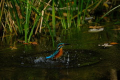 更新ファームウエアの成果４