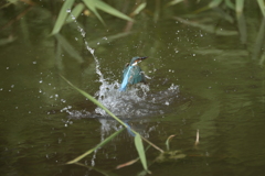 気合で撮りました１