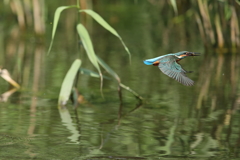 久々の１Ｄｍ２⑤