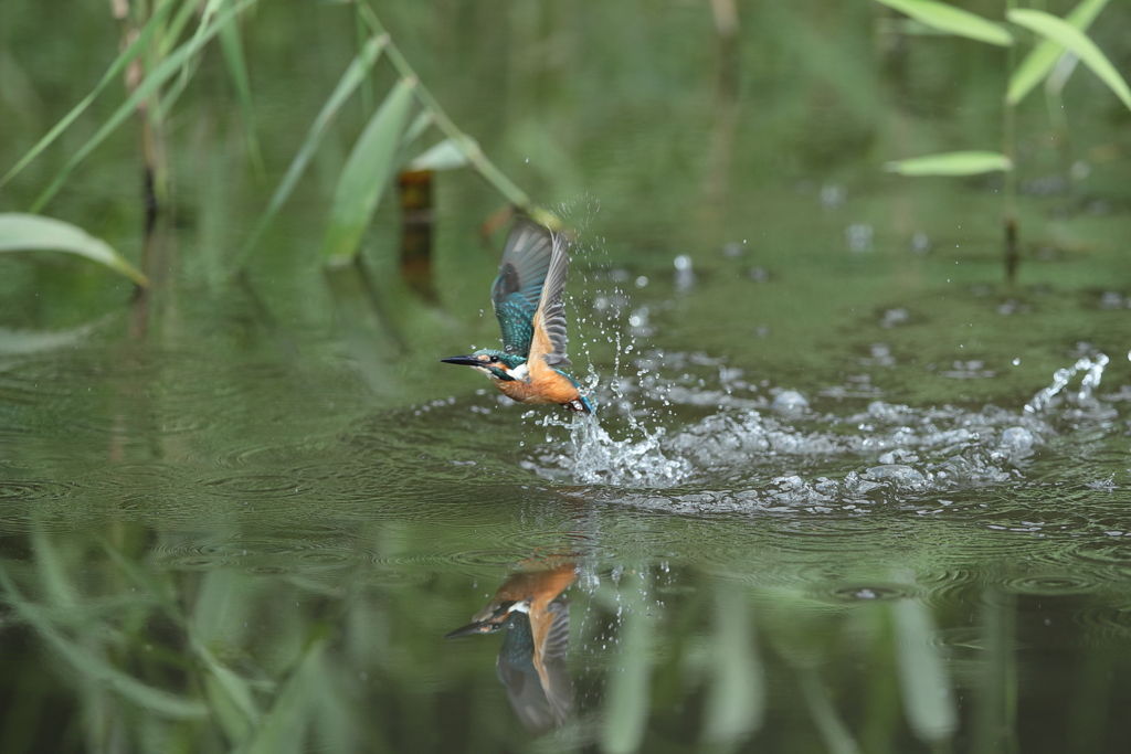 久々の１Ｄｍ２