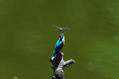 何しに来た？２