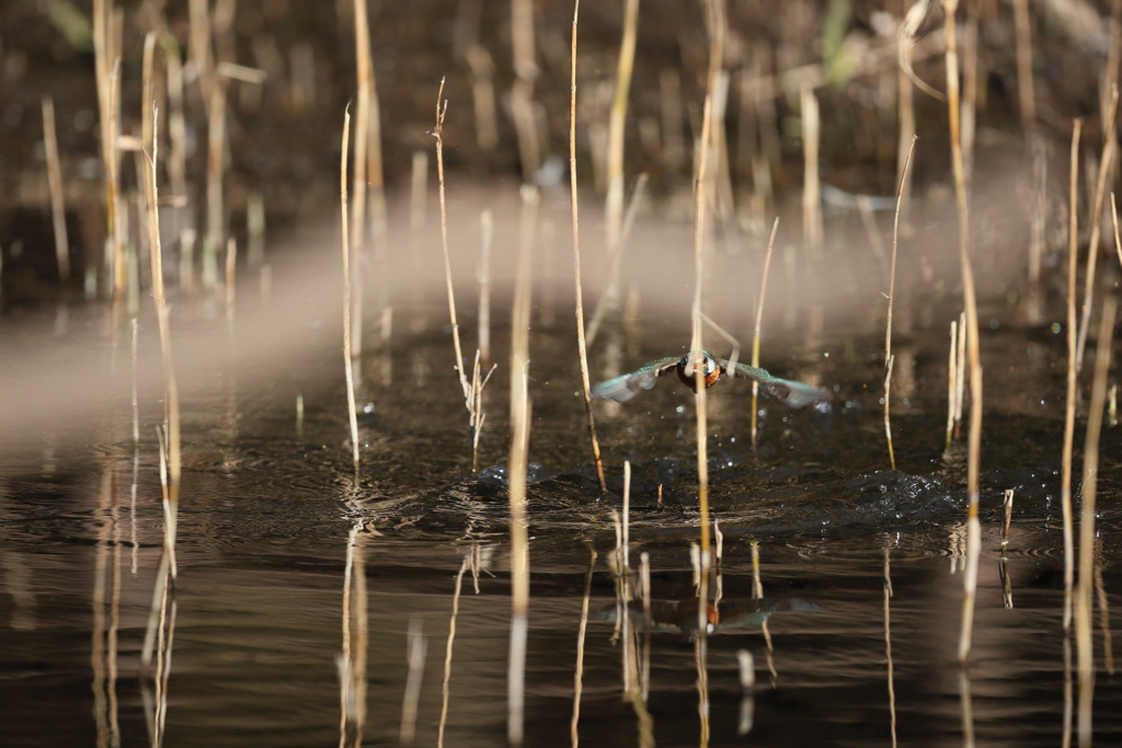 やっぱり、被った３