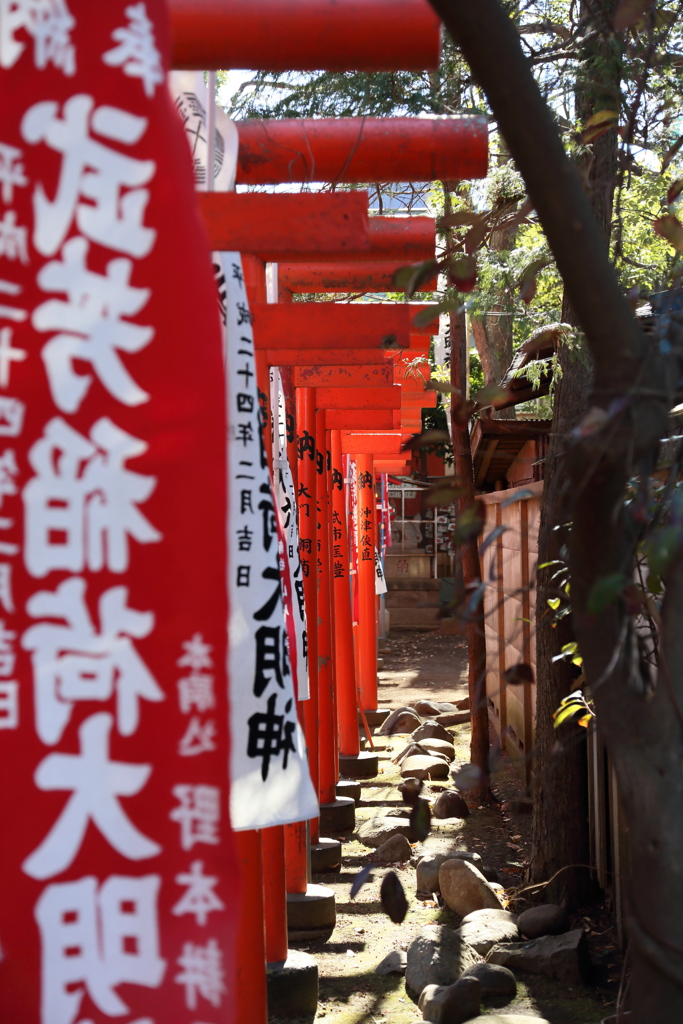 たまには町撮りスナップで