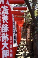 たまには町撮りスナップで