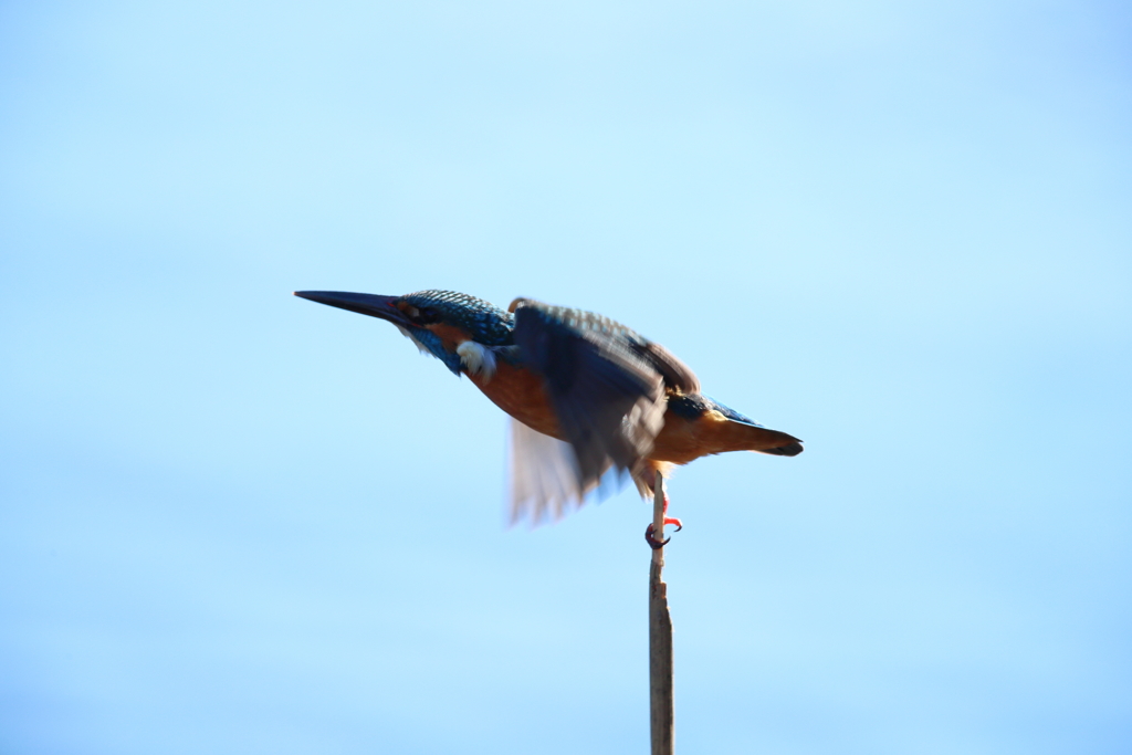 気を取り直して