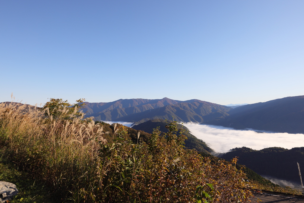 何処向いても雲海