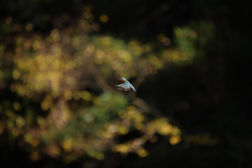 秒間6.5の不幸１