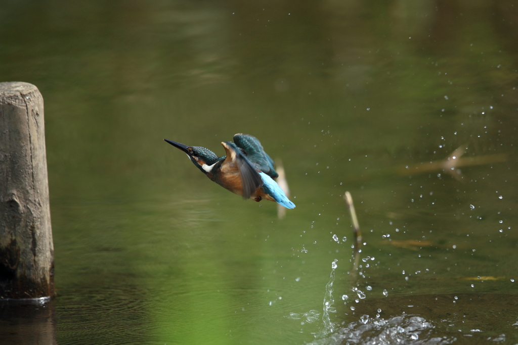 手持ち６連射⓷