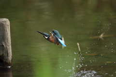 手持ち６連射⓷