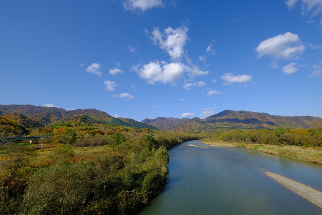 富良野川