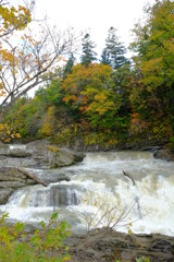 今回はフジオンリーで