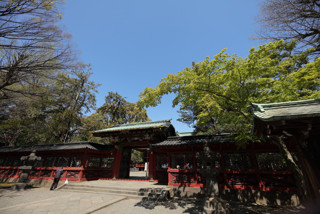 根津神社③