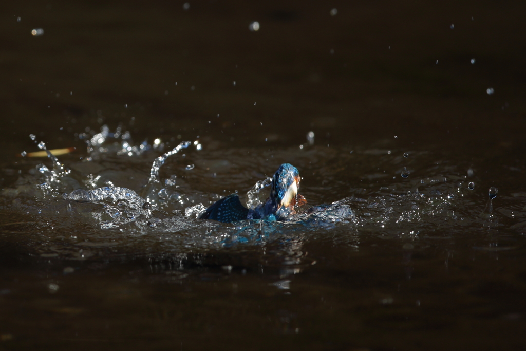 やっぱり一眼１