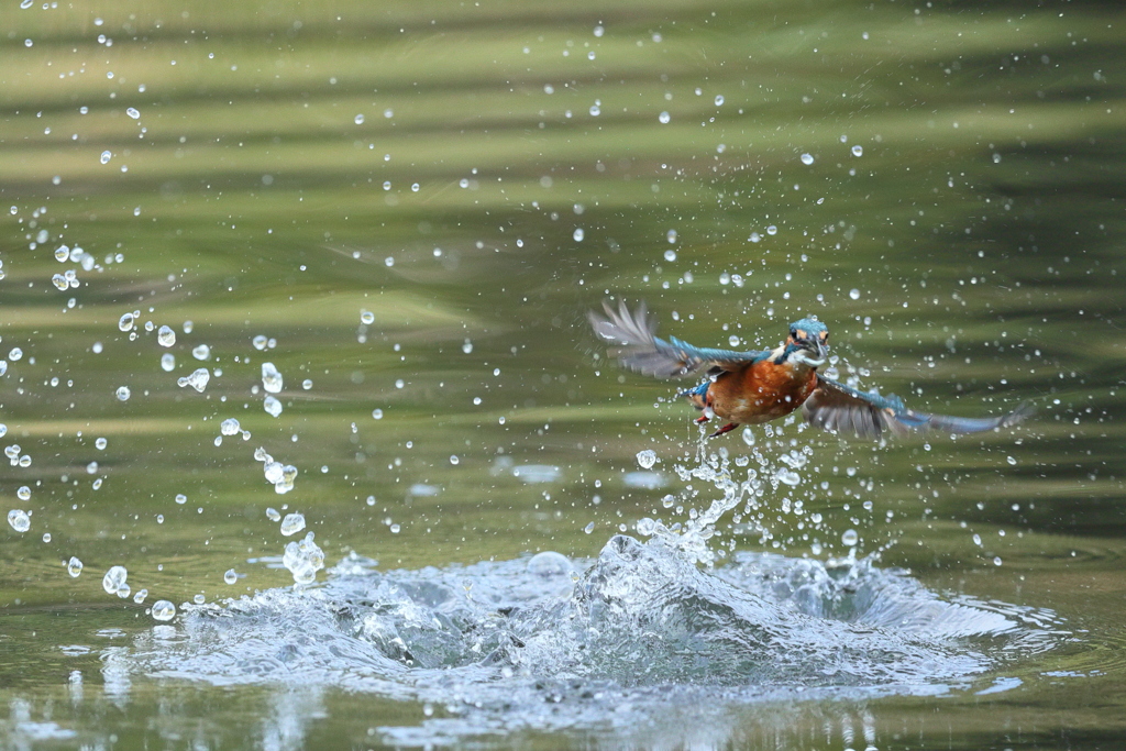 午前中も遊んで・・・・
