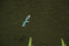 ターゲットロストこれより帰還１