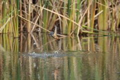 遠い(垂直上昇2)
