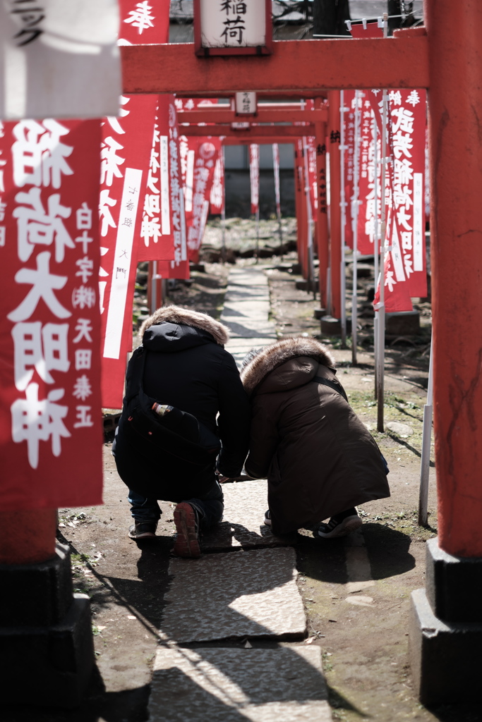 何をしてるのかな？