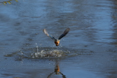 今年もよろしく