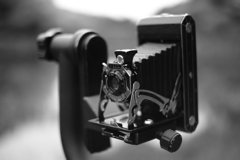 これでカワセミ撮るの？