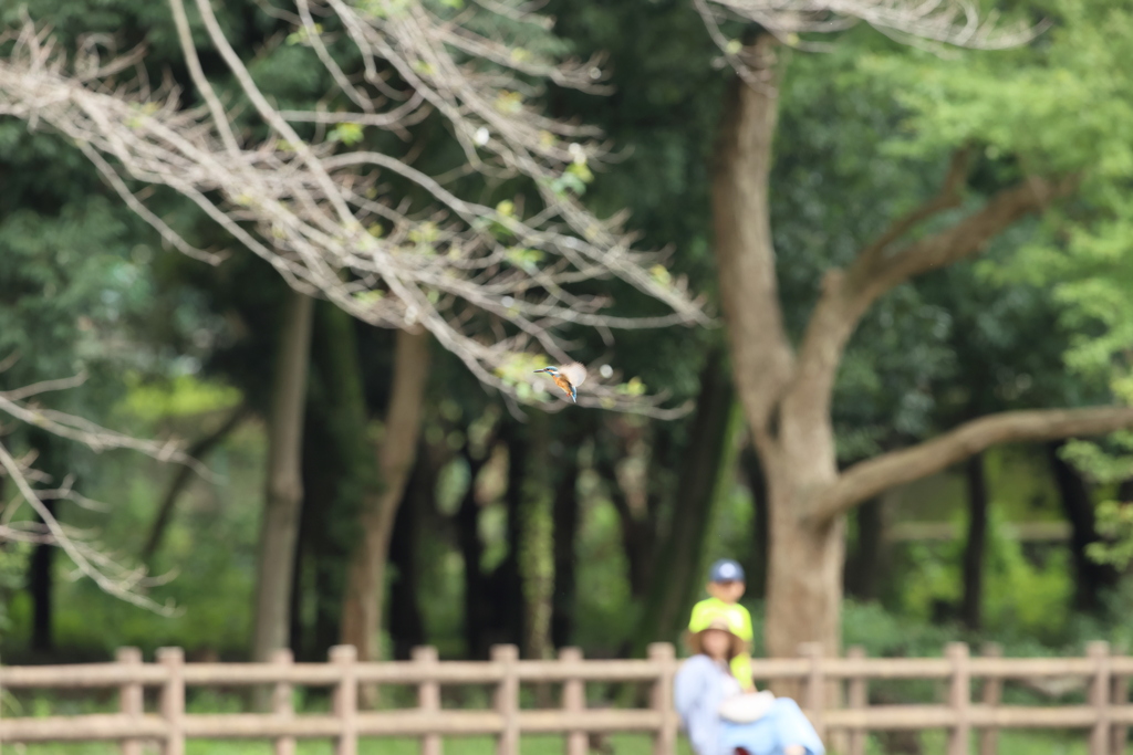 遠いい・・・２