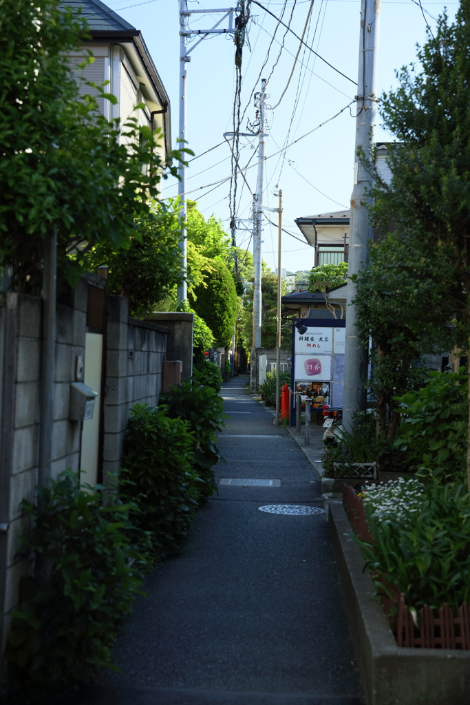 鎌倉の裏町