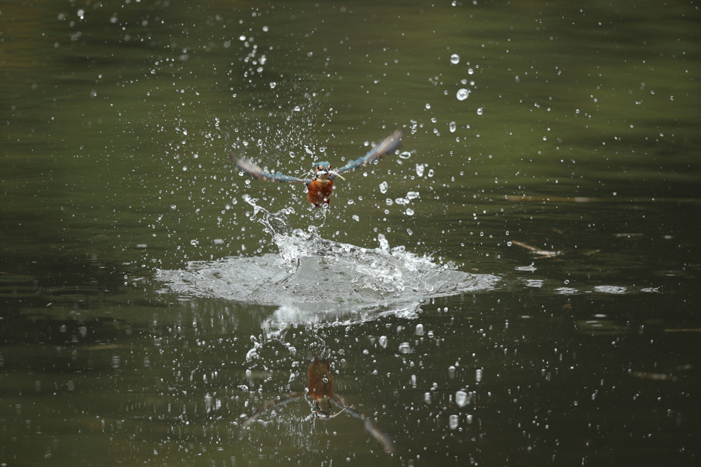 久しぶりの水がらみ４