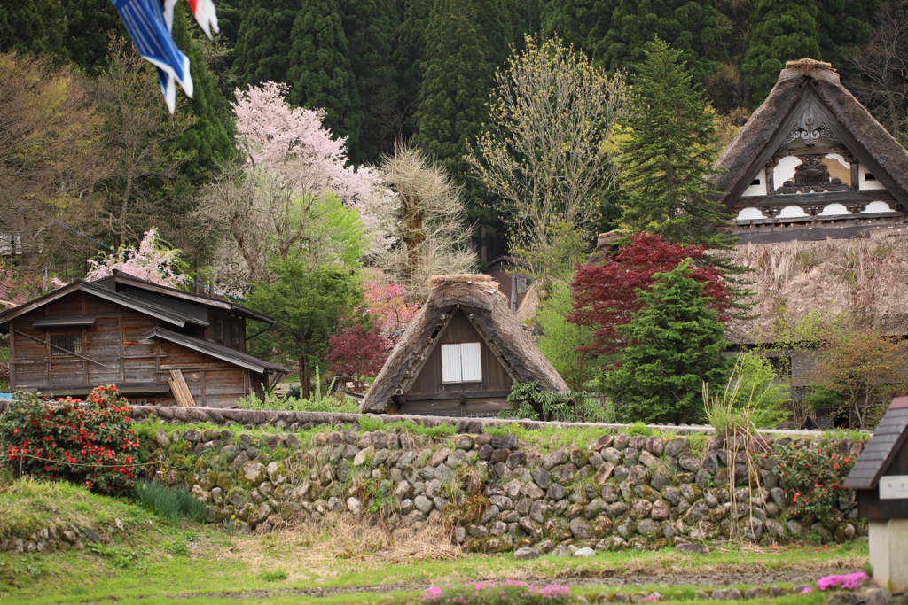 山里の春