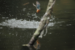 久しぶりの水がらみ10