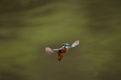 間近のシュートホバ２